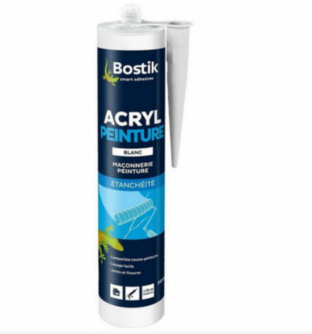  Mastic Acryl Peinture blanc